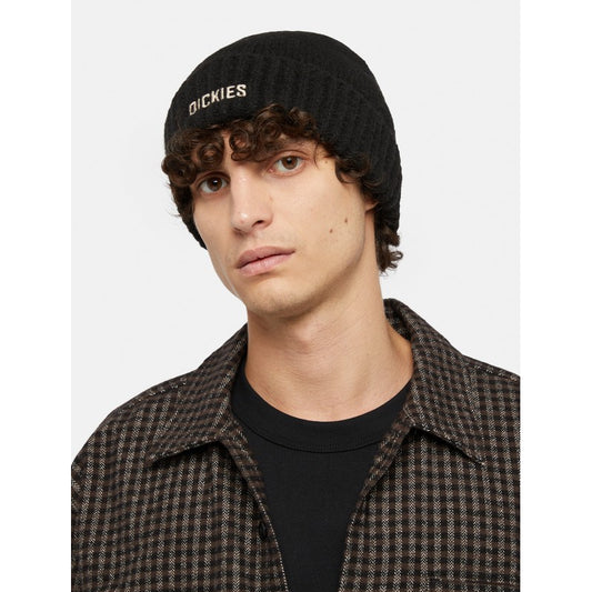 Dickies Harlowtown Beanie - Black