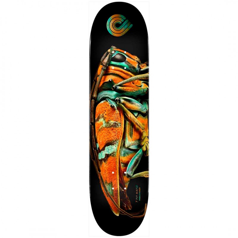 Powell Peralta BISS Jewel Beetle 9.0" Skateboard