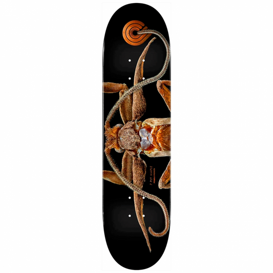 Powell Peralta Biss Marion Moth 8.25" Skateboard