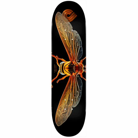 Powell Peralta Biss Potter Wasp 8.0" Skateboard