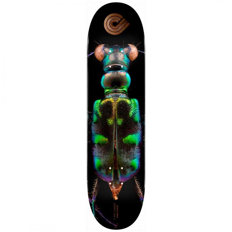 Tábua de Skate Powell Peralta BISS Tiger Beetle 8.25"